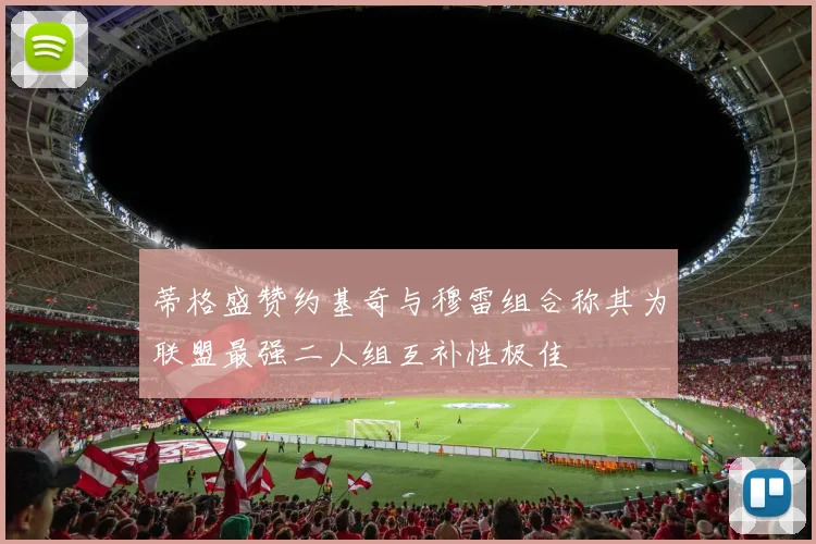 蒂格盛赞约基奇与穆雷组合称其为联盟最强二人组互补性极佳